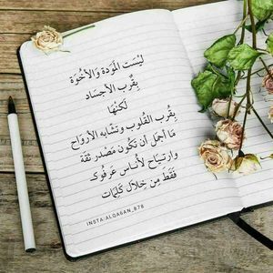 Meet your Posher, Marko